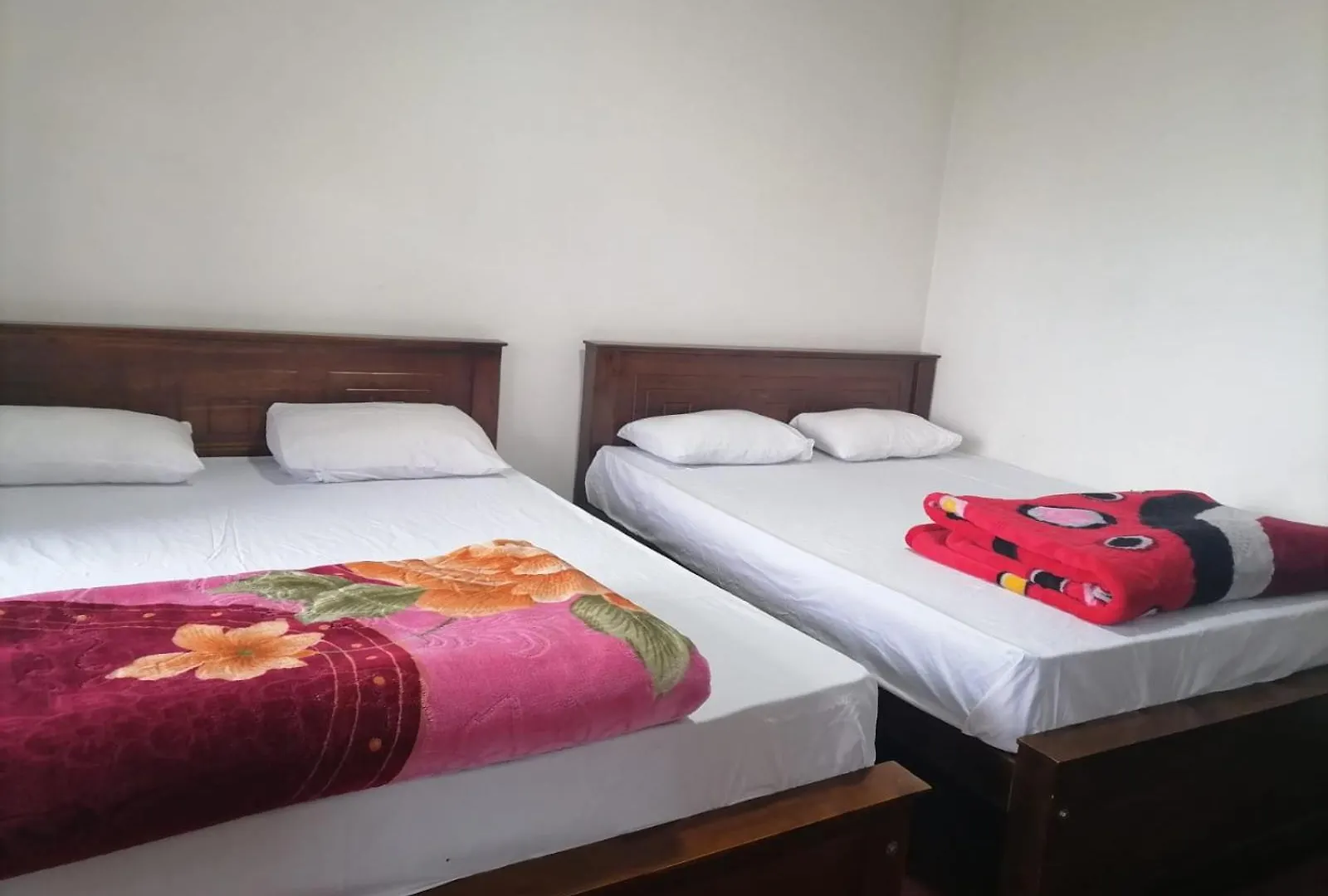 Greenish Inn Nanu Oya 0*,  Sri Lanka